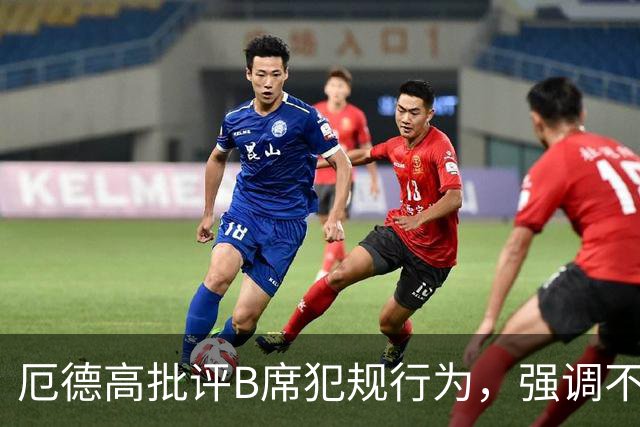 厄德高批评B席犯规行为，强调不应在足球场出现